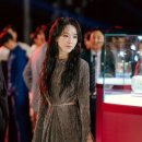 레이디 마이데일리
