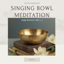 [현대액티브힐링명상센터] SINGING BOWL MEDITATION 싱잉볼 명상지도자 과정 LV.1 이미지