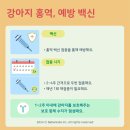 진안동물병원 이미지