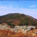 용정탕 이미지