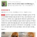 댕댕이냥냥 이미지