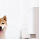 KH프라자 이미지