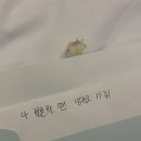 유로코피자동 | WED/ 신혼여행 - 스위스 1일차 ✨LOT항공 후기, 스위스 대중교통, SBB, 스위스 여행, 스위스 꿀팁...