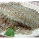 양구개느삼자생지 이미지