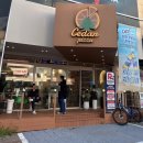수 피자 | [제주] 노형동맛집 맛있는피자를 만날 수 있는 씨더피자 내돈내산포함 후기