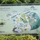 광명청소년예술단 정기공연 | 광명 실내 놀거리 미디어파사드 웜홀광장 포토존 웨이브 와인 광명동굴