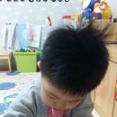 씨씨씨 이미지