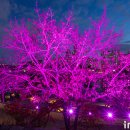 (주)블링크 이미지