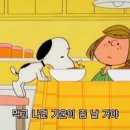 집밥김선생 이미지