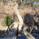 상구2리 이미지