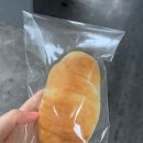 파니피카 이미지