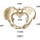 필샵 이미지
