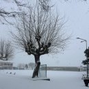 브로쥬아 | 왠지 낭만은 다 겨울에 있는 것 같아