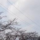 5해피