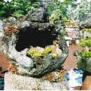 제주랜드 이미지