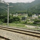 가평남이섬리알토스파수영장가족펜션 | 이제 우리의 새벽은 낮보다… 차가움