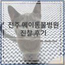 메이동물메디컬센터 이미지