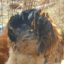 상정농장 이미지