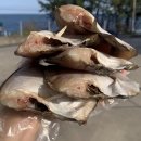 유성일등과메기 이미지