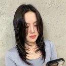 인 더 헤어 네이버블로그