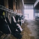 영원축산 이미지