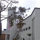 동양당약국 이미지
