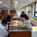 나곡중학교 이미지