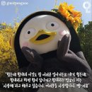 쏭뷰티 이미지