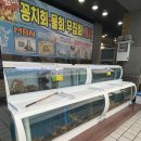 융창펜션 | 경북 영덕 축산항 융창수산펜션 대게맛집 게 5마리 10만원 원없이 맛있게 먹기