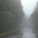 전제만목장 이미지