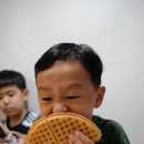 와플대학세종보람캠퍼스