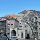 동강시스타 | 영월여행 : 풍경 멋있는 리조트 동강시스타스위트B 펫룸 후기(조식,바베큐,편의점,별구경)