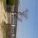 덕천3리 이미지