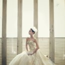 하야로비 이미지