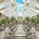 화이트홀 이미지