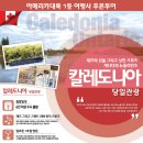 푸른아메리카투어 이미지