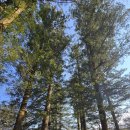 문경큰사람마을 | [경북] 2026, 문경 … 2. 김룡사