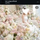 MJ 컨벤션 본식스냅 👉 라엘 스냅 계약후기 내돈내산