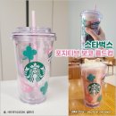 벅스소프트 | 스타벅스 포지티브 보코 콜드컵 355ml 사용후기 | 핑크빛 디자인에 내용물이 보이는 톨사이즈 기본형