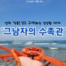 그남자의수족관