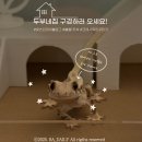 종명랜드 | [ 크레 사육장 꾸미기 ] 크레스티드 게코 아크릴 사육장 인테리어 다이소 용품 추천