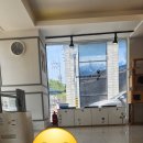 한나동물병원 이미지