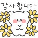 용인대대일태권도장 이미지