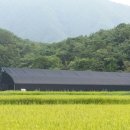 인삼농장 이미지