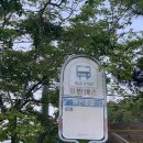 CU마산원전점 | [창원 펜션] 진해 펜션 마산 구산면 가족여행가기 좋은 원전포레스트 펜션