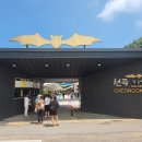 천곡황금박쥐동굴 이미지