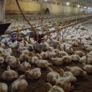 박종국 농장 이미지