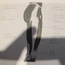 디디스포츠 이미지