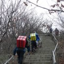 칠천제 Daum카페