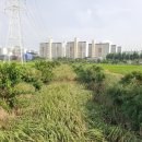 영등2동 부영3차아파트 이미지